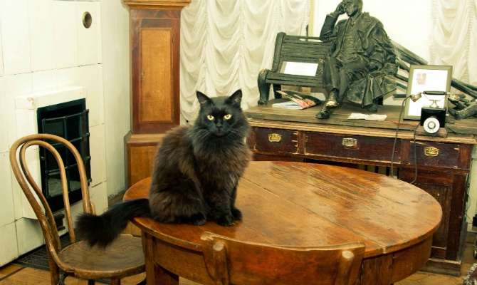 Кот бегемот в музее булгакова