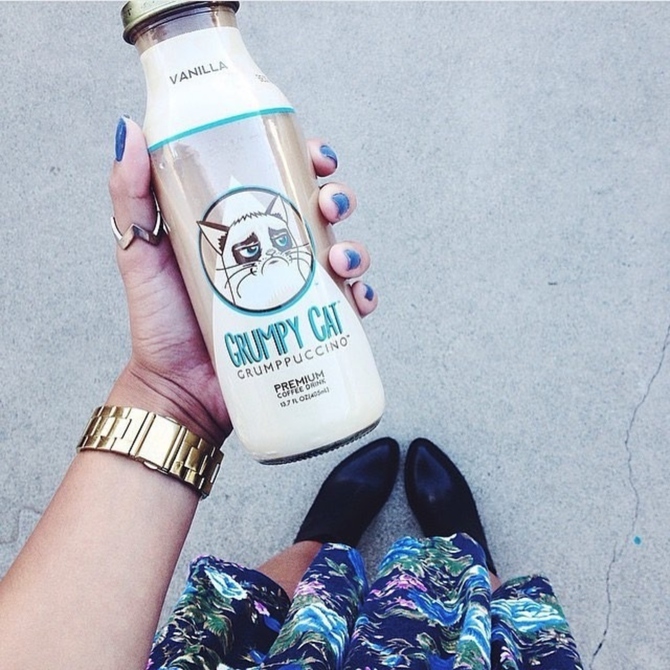 Grumppuccino / Фото: Courthouse News