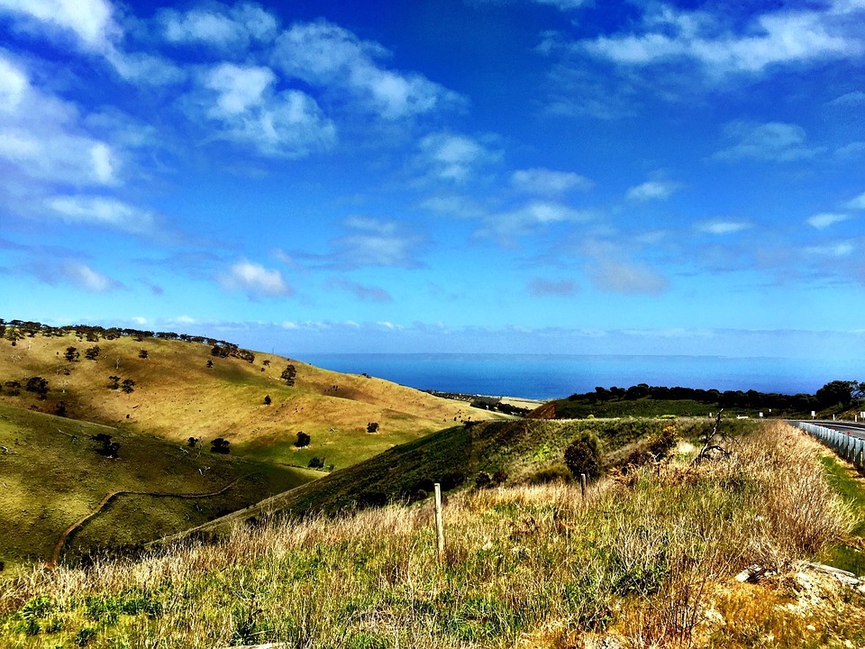 Фото: pixabay.com