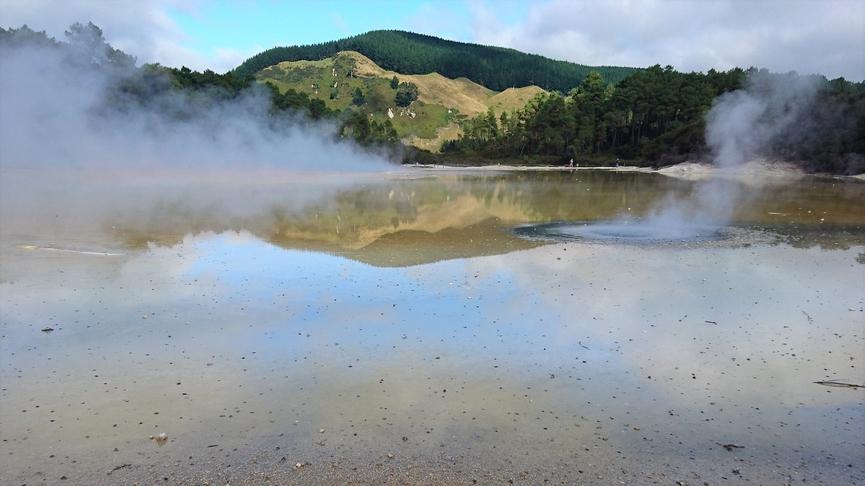 Фото: pixabay.com