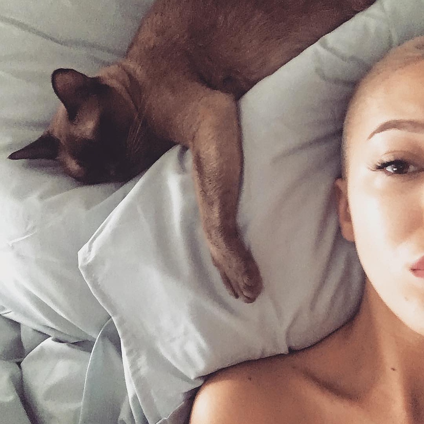Ксения позирует с кошкой Шнура?​​Фото: Instagram