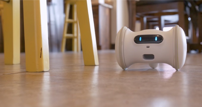 Робот для домашних животныхКадр из видео