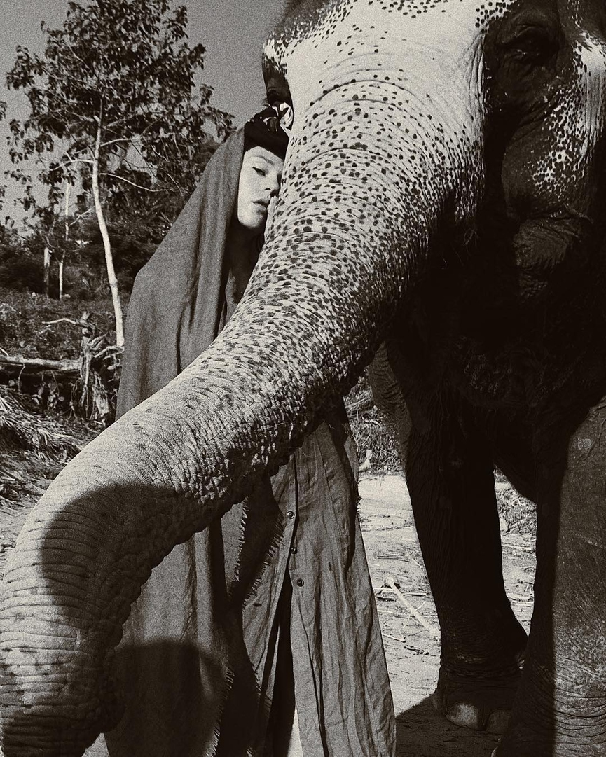 Да, слон вряд ли покусится на палец с ярким педикюром :)​Фото: Instagram