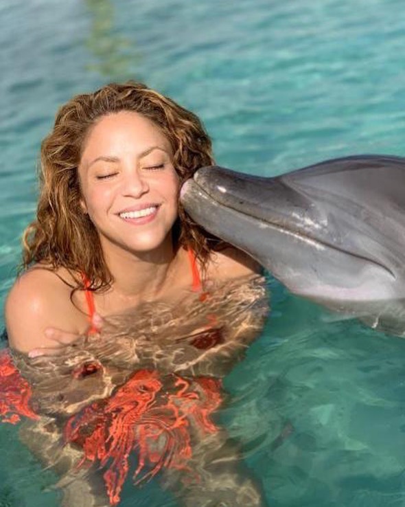 Певица назвала дельфина «морским ангелом» ​Фото: Instagram